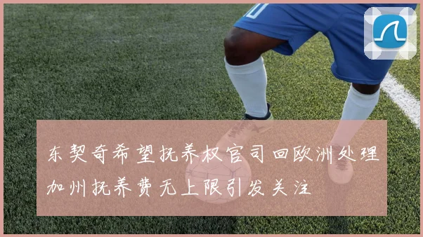 东契奇希望抚养权官司回欧洲处理加州抚养费无上限引发关注